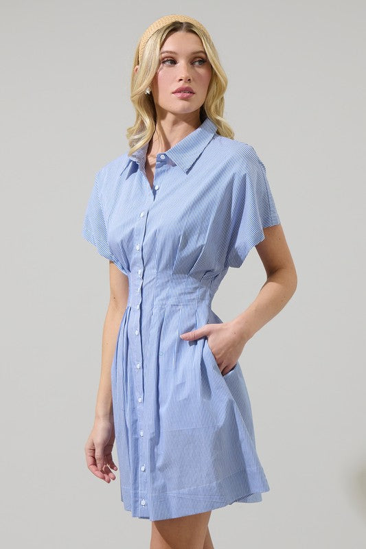Fannie Striped Mini Dress