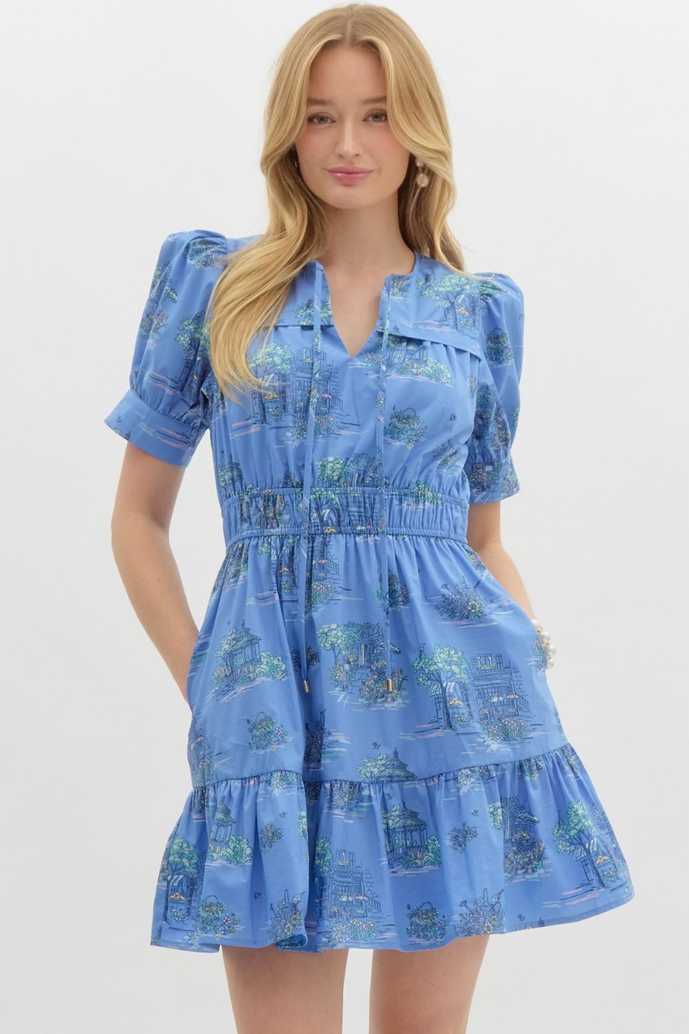 Becky Puff Sleeve Dress