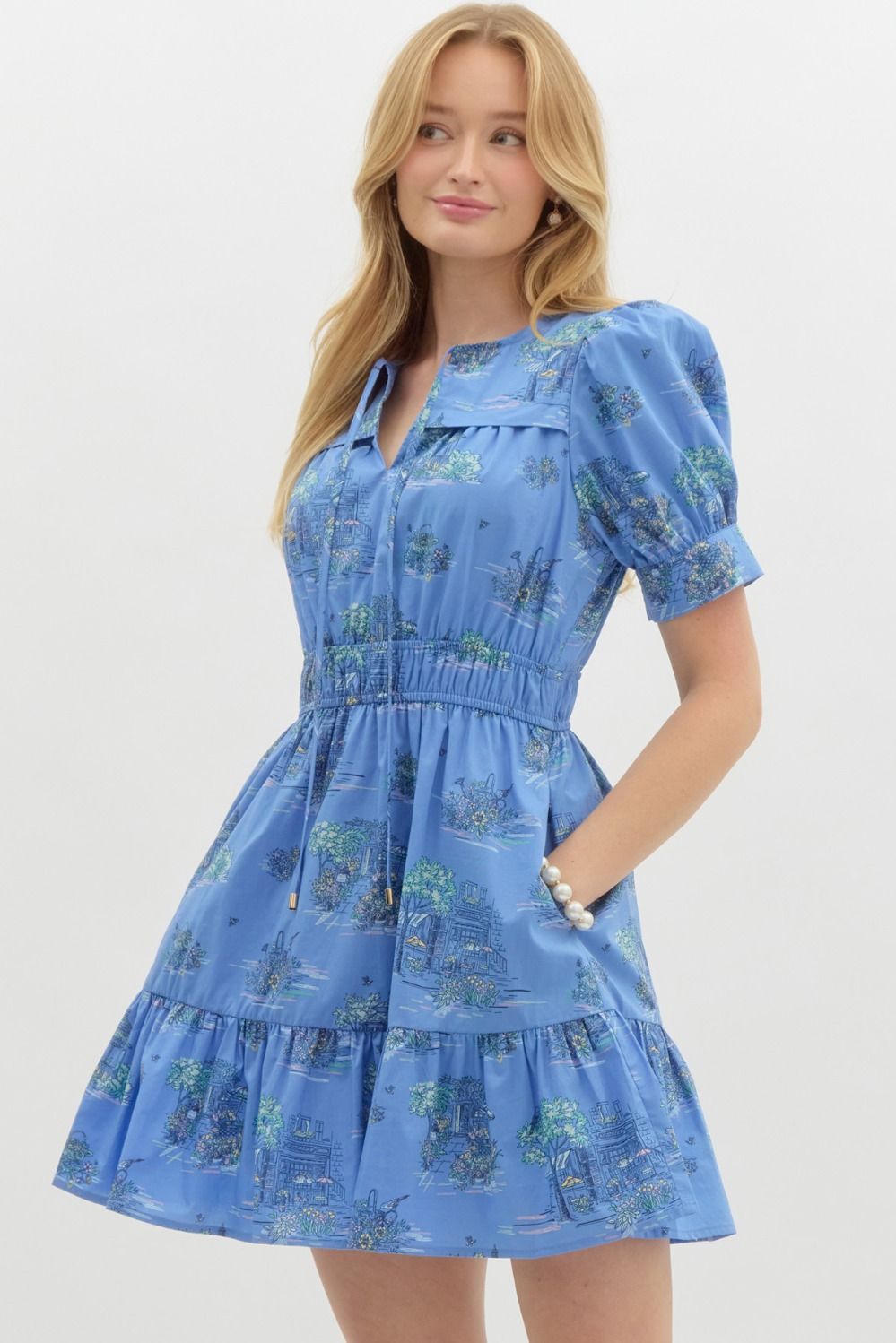 Becky Puff Sleeve Dress