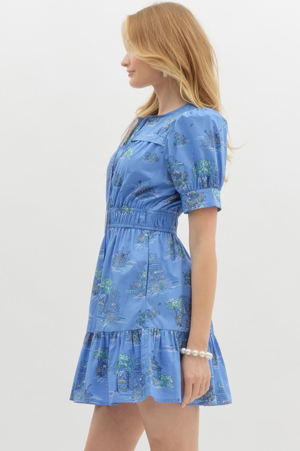 Becky Puff Sleeve Dress