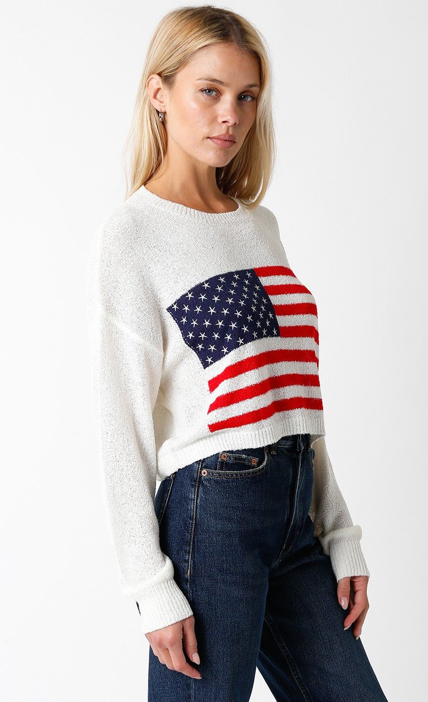 Ivie Flag Sweater