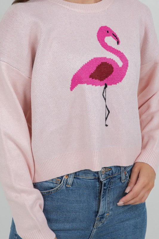 Franny Flamingo Sweater