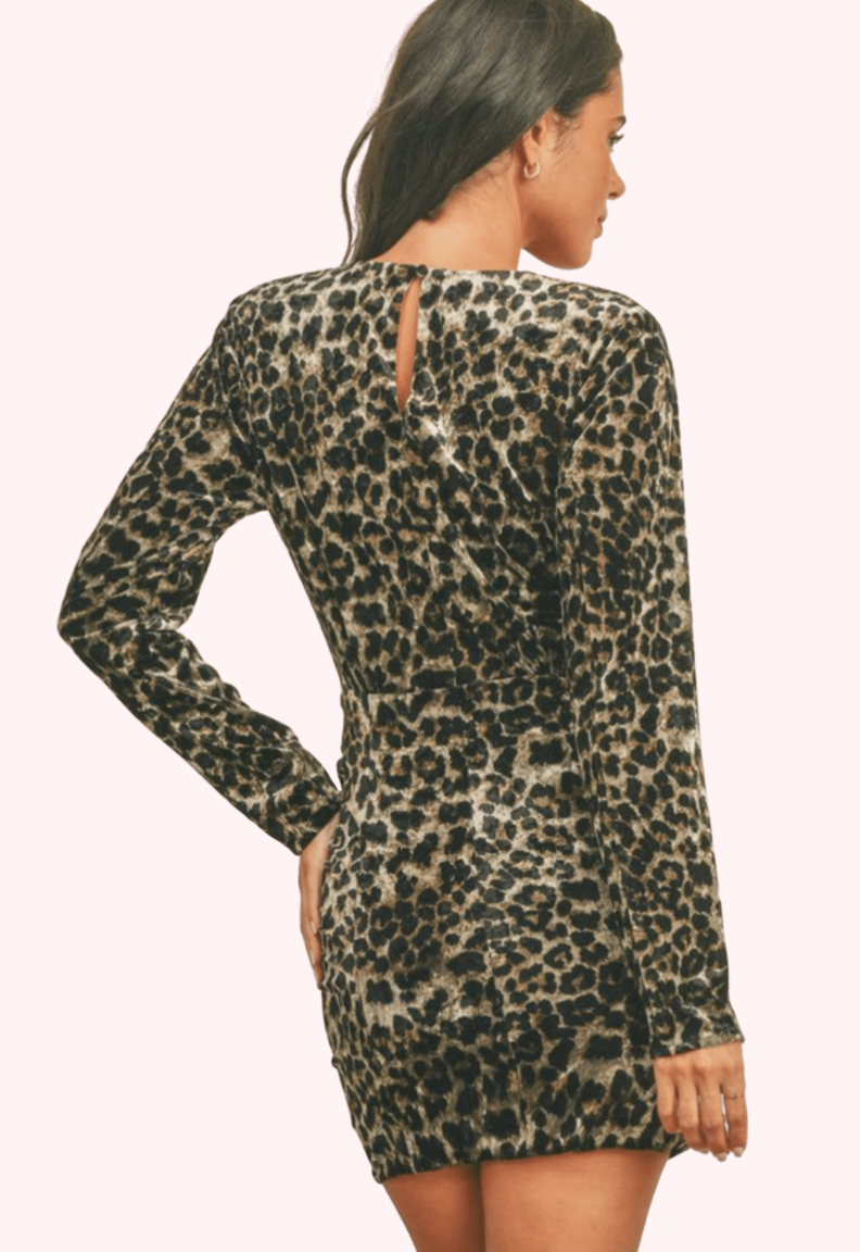 Sylvie Leopard Velvet Dress