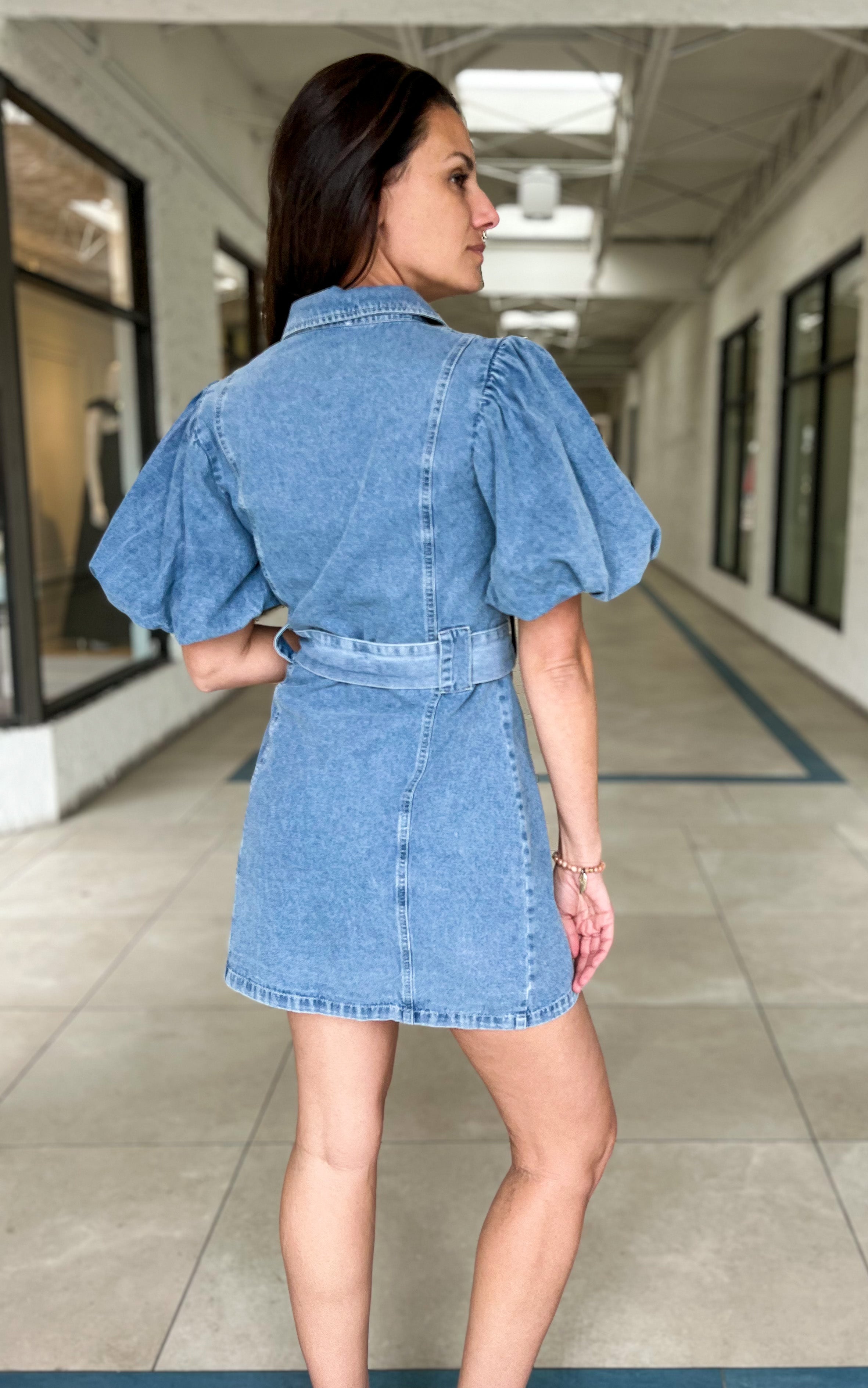 Emmeline Denim Dress