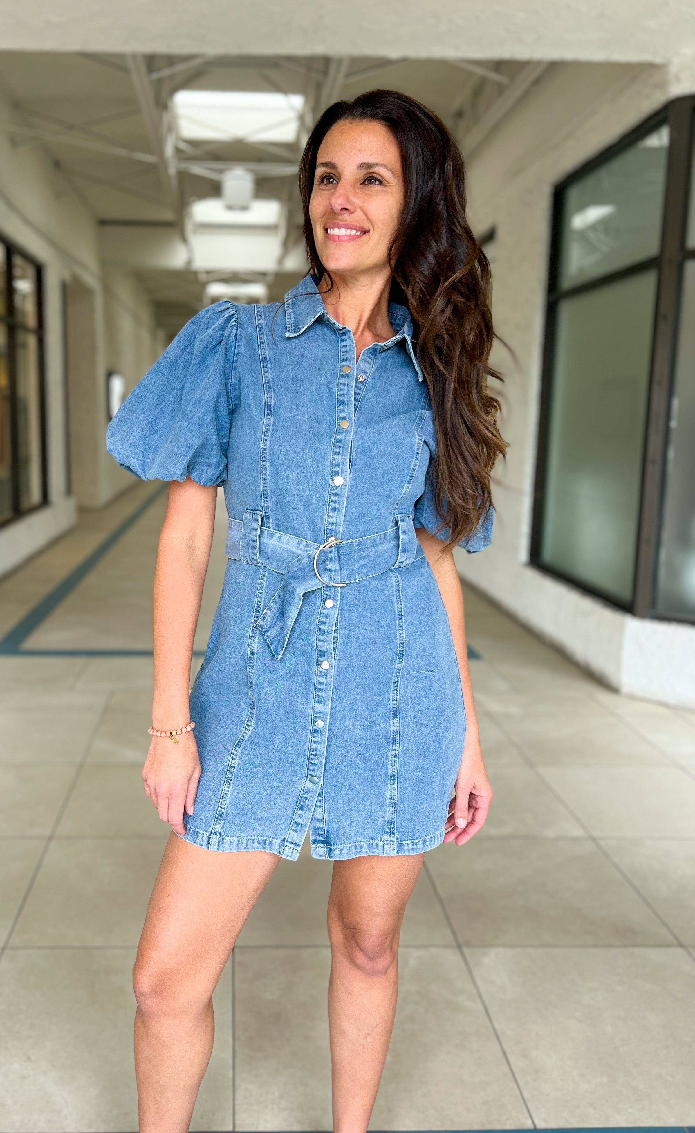 Emmeline Denim Dress